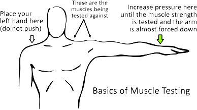 Basic Muscle Testing